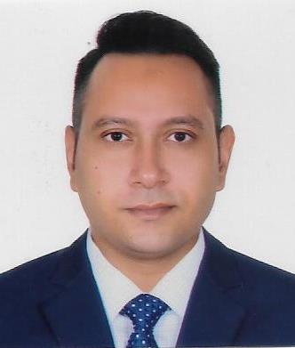 MAHBUB A MOWLA